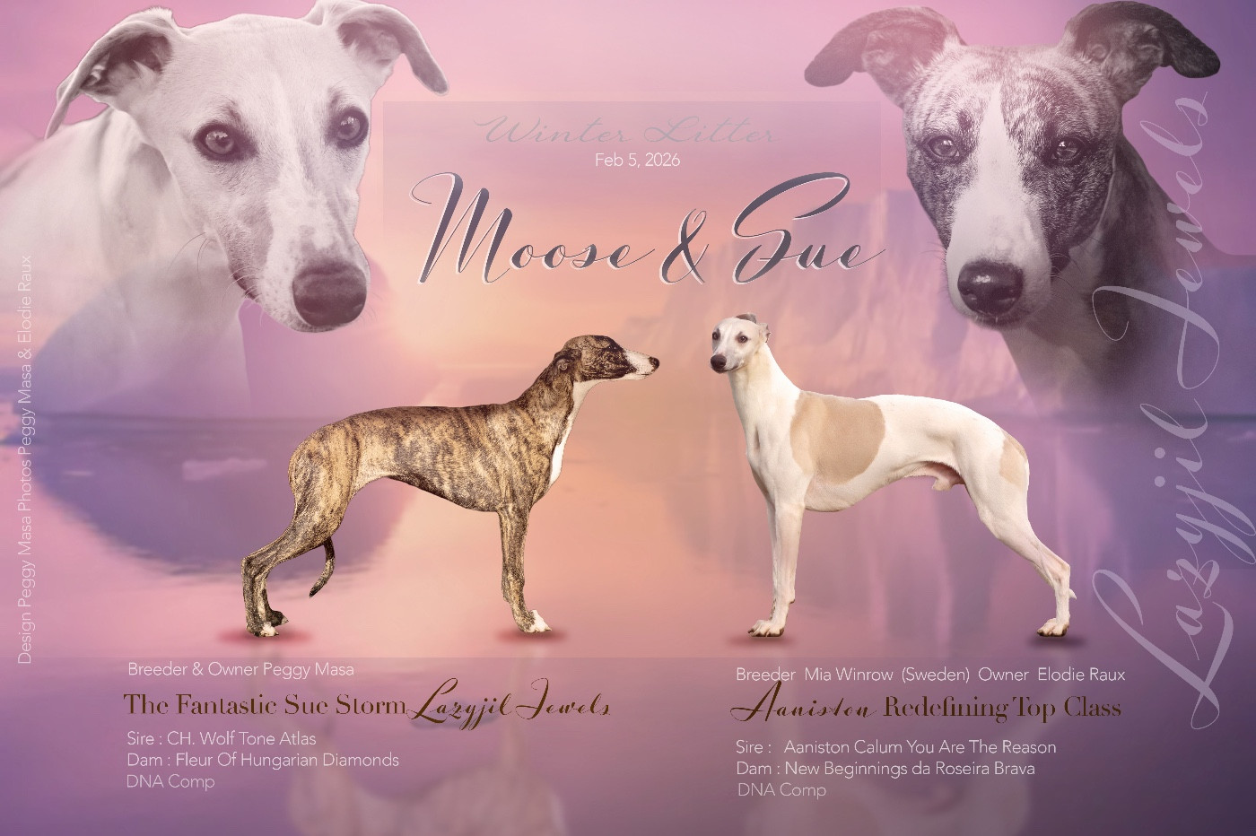 Des bébés début Février 2026