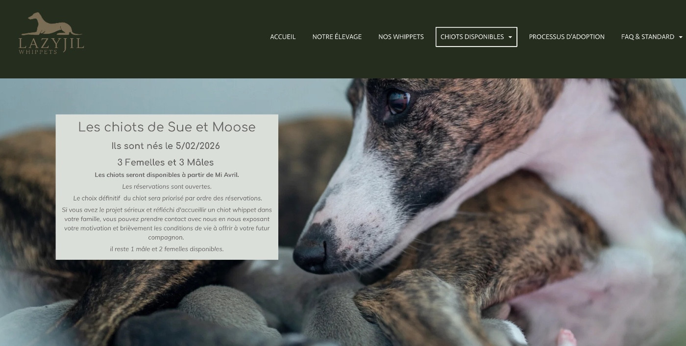 NOUVEAU SITE INTERNET